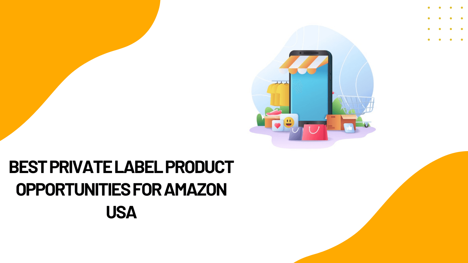 Best Private Label Product Opportunities for Amazon USA