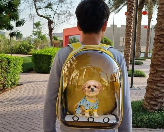 Pet Brand Store